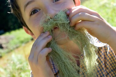 © KAW/Markus Gmeiner