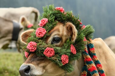 © PATRICK SAELY PHOTOGRAPHY