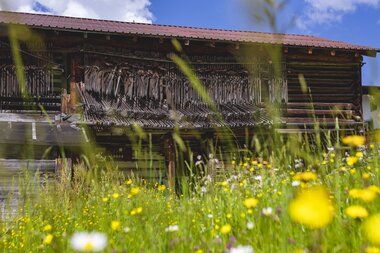 © Stefan Kothenr Photography