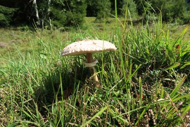 © MONTAFON TOURISMUS GMBH