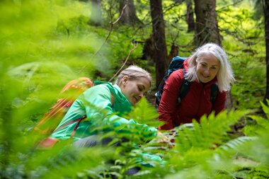 © Stefan Michael Kothner;www.stefankothner.at