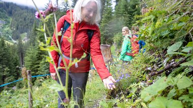 © Stefan Michael Kothner;www.stefankothner.at