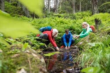 © Stefan Michael Kothner;www.stefankothner.at