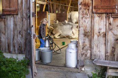 © Stefan Kothenr Photography