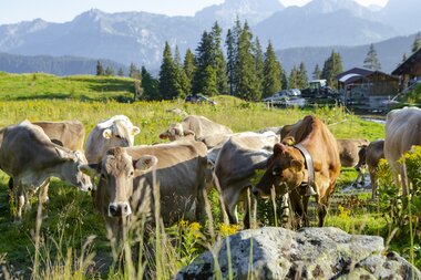 © Stefan Kothenr Photography