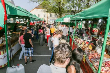 © Mag. (FH) Stefan Rumersdorfer