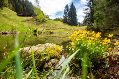 © Stefan Kothenr Photography