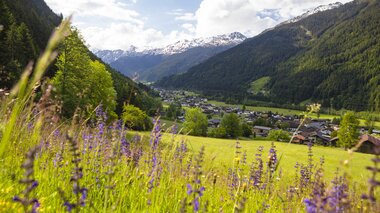 © Stefan Kothenr Photography