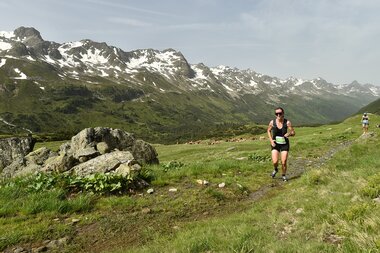 © www.alphafoto.com                   