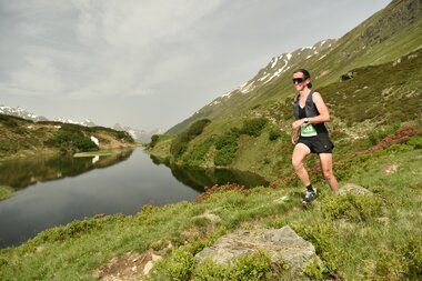 © www.alphafoto.com                             