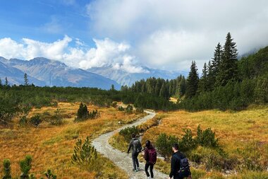 © Copyright 2023. All rights reserved.