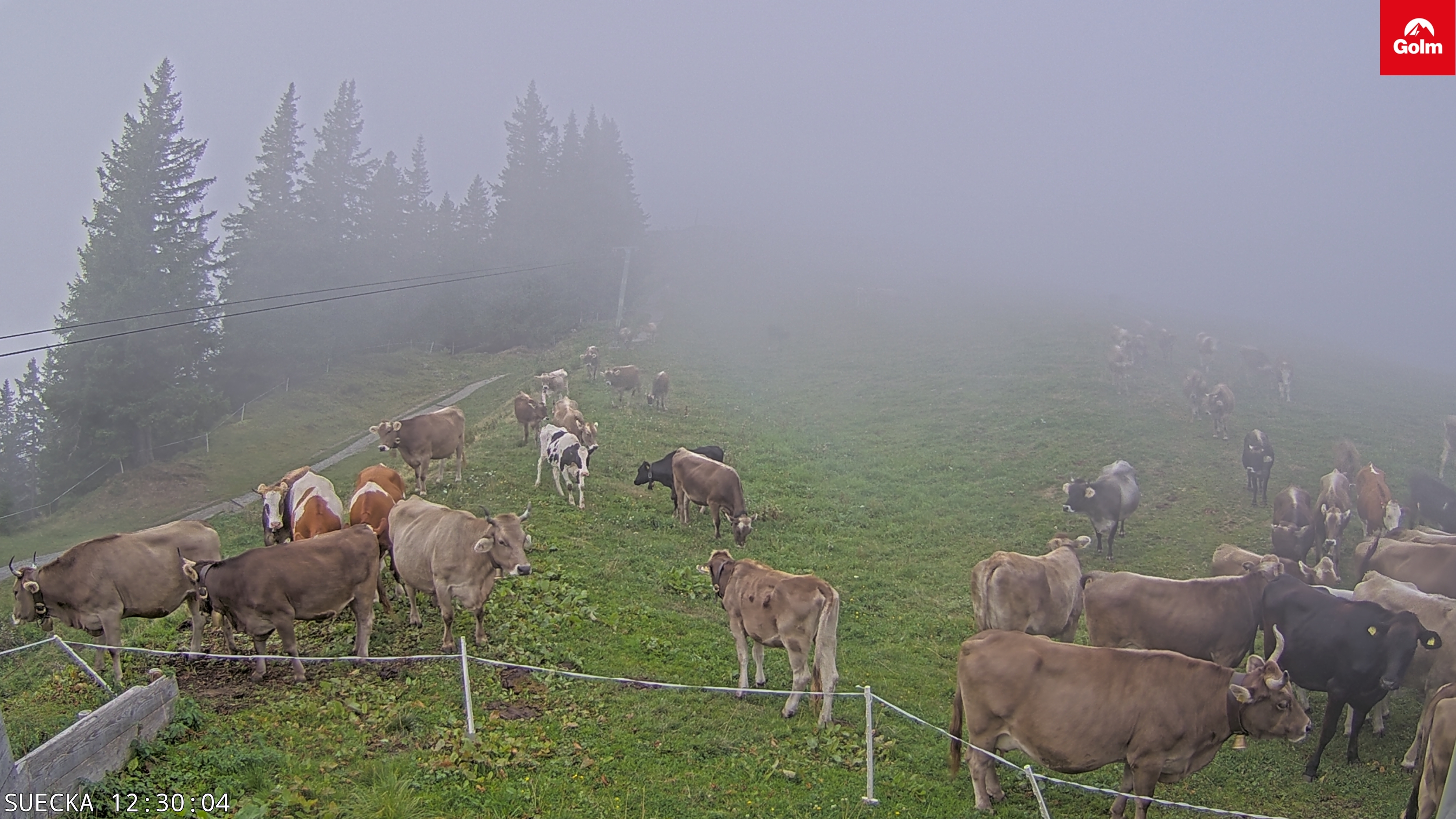 Golm | Schlepplift Sücka